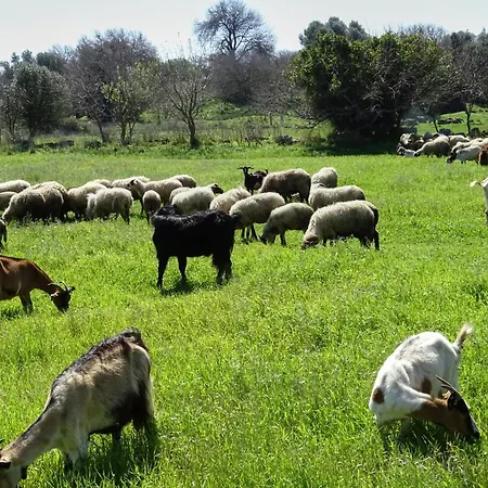Fontana Luxury With Pool Near ヴィラ *