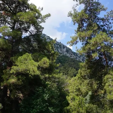 Villa Fontana Luxury With Pool Near Salakos