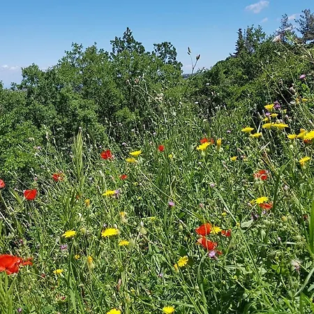 Villa Fontana Luxury With Pool Near Sálakos
