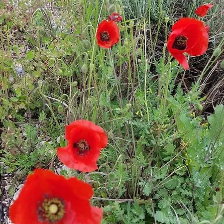 Fontana Luxury With Pool Near Villa