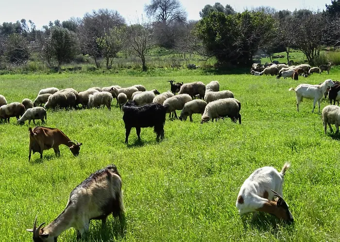 Fontana Luxury With Pool Near Villa *