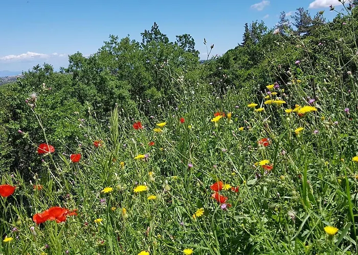 Villa Fontana Luxury With Pool Near Sálakos